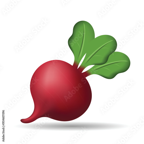 3d red beetroot vegetable illustration isolated on white