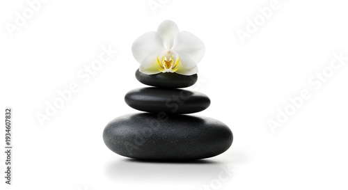 White Orchid Flower on Stacked Black Spa Stones