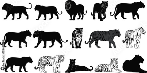 Big cat silhouettes, sixteen diverse lions, tigers, panthers, leopards in dynamic poses, detailed illustrations, striped patterns, feline diversity