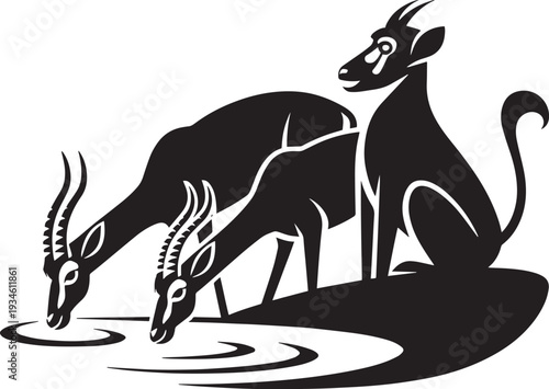 Three gazelles or antelopes, two drinking and one sitting, in water over transparent background