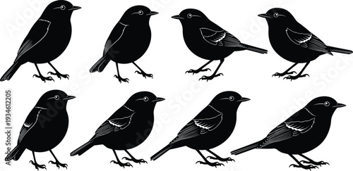 Bird silhouettes vector illustration, flying birds, perched birds, wildlife art, avian graphics, decorative design, nature pattern, black shapes