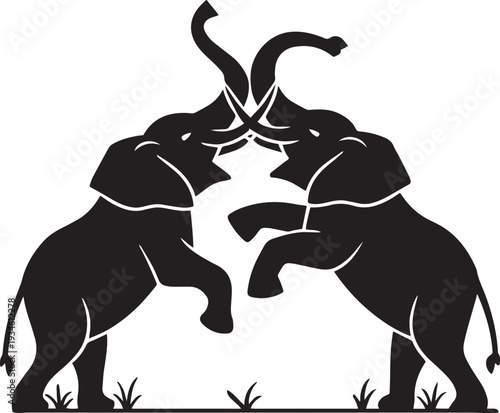 Two elephants fighting silhouette black and white playing tusks trunk up raised on legs