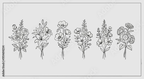 Collection of six distinct hand drawn floral line art bouquets featuring roses lilies poppies delphiniums and sunflowers perfect for  design