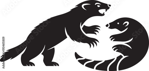 Wolverine animal vector illustration. wild animal wolverine silhouette. angry wolverine fighting