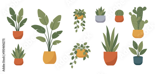 A set of vector design elements for interior design. Collection of potted house plants and indoor greenery. Flat design graphic for home decor blog, infographic or app UI.