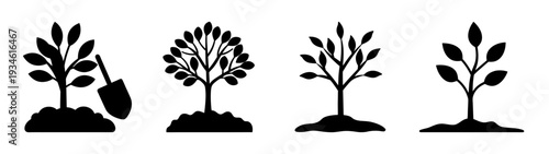 Tree growth stages with planting shovel vector illustration, flat design