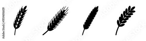 Set of four black wheat ears vector illustration, flat design elements