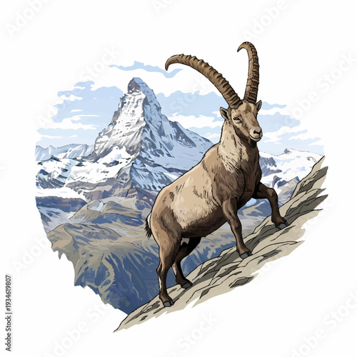 Alpine ibex standing on a rocky mountain with Matterhorn peak background vintage vector illustration