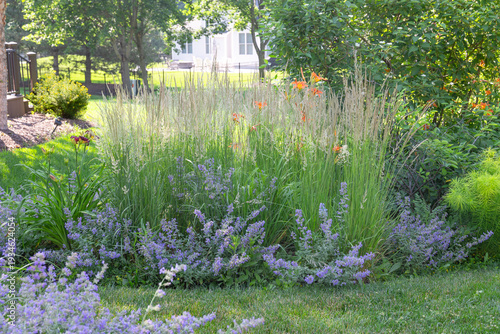 Tall, columnar, low maintenance and drought resistant, Karl Foerster Feather reed grasses are a beautiful living fence providing privacy and tranquility in this lush backyard retreat.  