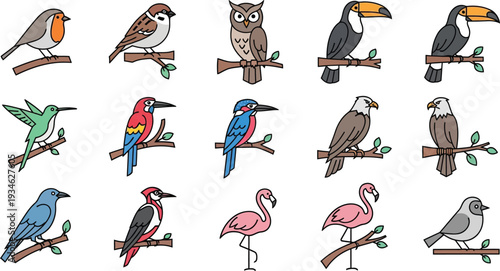 Collection of Diverse Bird Species Illustrations robin sparrow