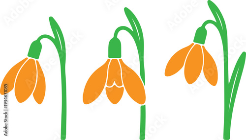 Set of 3 orange flower icons vector