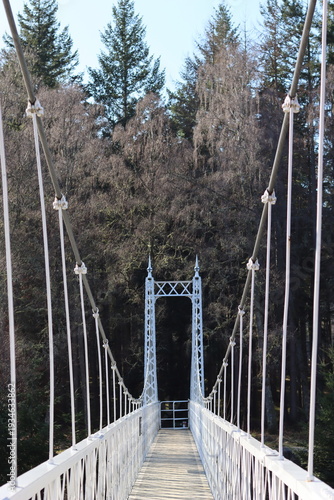 Foto Cambus o' May suspension bridge, Ballater, Aberdeenshire