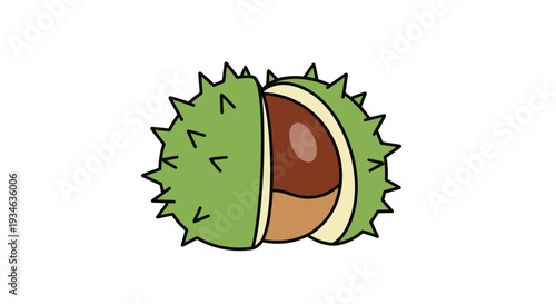 A simplified vector illustration displays a single green horse chestnut, split open to reveal its smooth, brown nut within.