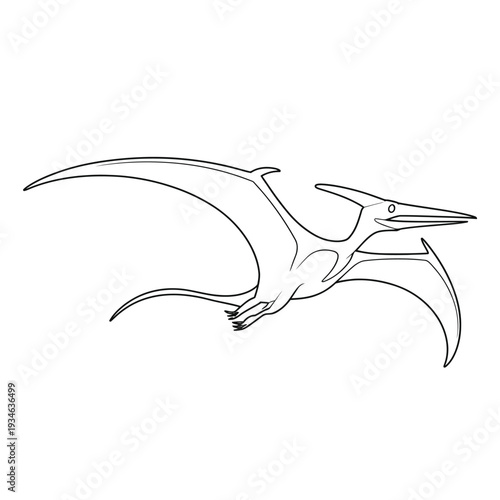 Pterosaur flying reptile illustration with elongated wings and sharp beak