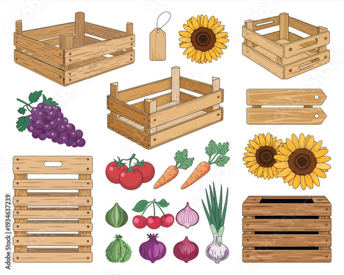 Whimsical wooden crate and fresh produce illustration set