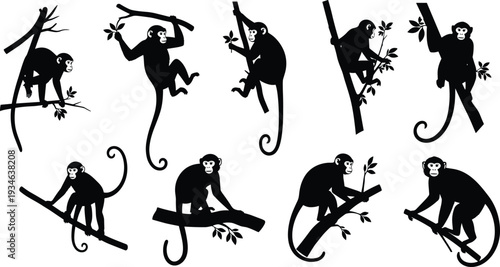 Monkey silhouettes collection, climbing animal vector, jungle wildlife icons, primate outline set, tree branch poses, nature design, black silhouette art