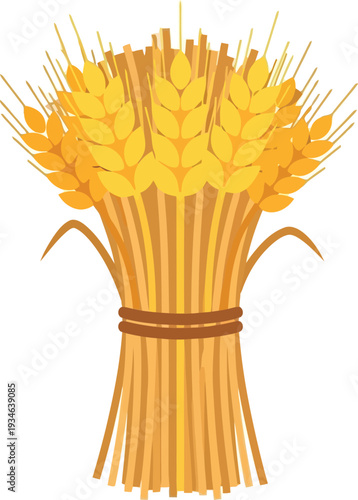 Vector illustration of golden wheat sheaf bundle isolated on white background for harvest and agriculture design
