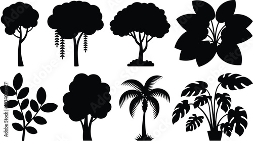 Collection of black tree silhouettes and tropical plant leaves featuring palm trees Monstera and deciduous foliage isolated on white background.