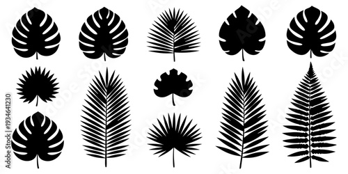 Collection of various tropical leaves silhouetted in black, showcasing different shapes and species in a visually appealing arrangement.