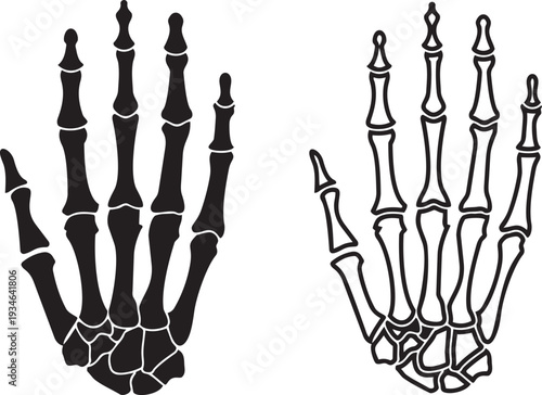 Skeletal Hand Anatomy: An intricate depiction of human skeletal hand, illustrating the complex structure of bones and joints, offering a captivating glimpse into the body's framework.