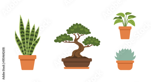 Collection of various potted plants including bonsai tree and succulents, Generative AI.