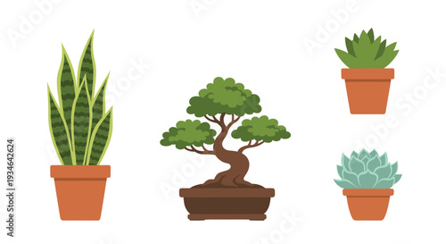 Collection of potted plants including snake plant bonsai and succulents, Generative AI.