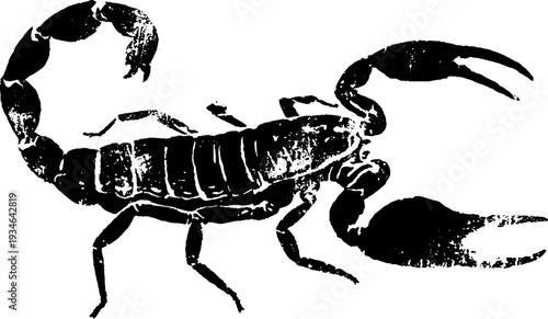 High contrast black and white scorpion with banner for tattoo design