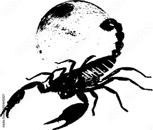Scorpion and moon high contrast black and white ink illustration for design