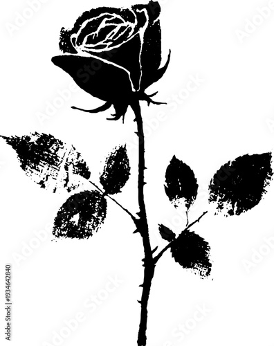 High contrast black and white rose and thorns ink art for print design