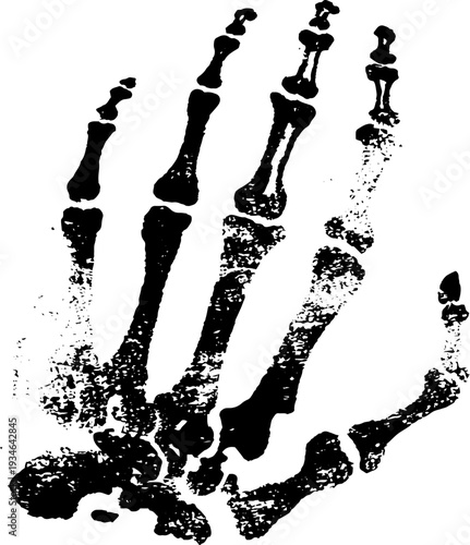 Skeleton hand ink illustration - high contrast black and white design for artistic projects