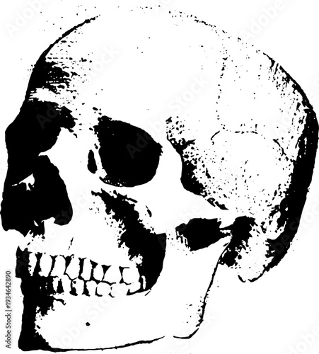 High contrast skull and shield ink art for gothic design and decor