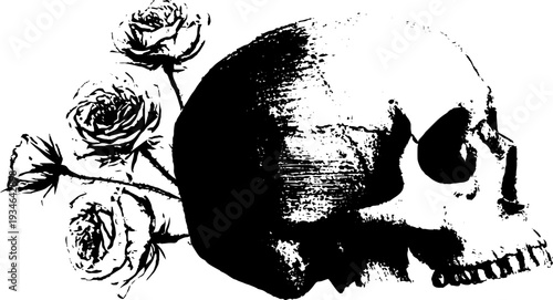 Intricate skull and roses black and white ink illustration for tattoo design
