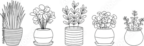 Potted plant line art vector set, indoor houseplants outline illustration isolated on white background botanical collection design