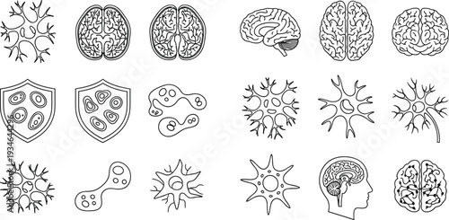 Human brain and neuron line icon set featuring nervous system anatomy cells medical health intelligence shield protection and mental wellness symbols