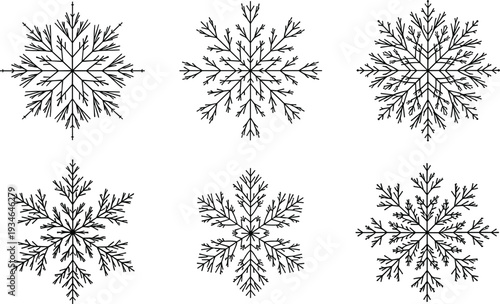 Black and White Snowflake Set Vector Illustration, Detailed Winter Ice Crystal Collection Isolated on White Background Design