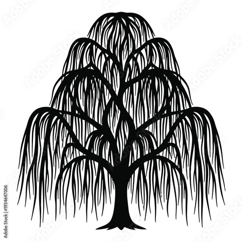Elegant Weeping Willow Tree Silhouette
