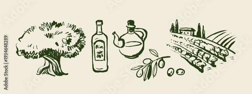 Vintage sketch olive set of tree, bootles, branch, farm field. Extra virgin, farm product, Mediterranean cuisine, cosmetic, organic farm, packaging label. Engraved hand drawn vector illustration.