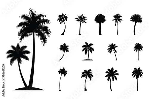 Assortment of black silhouette palm tree illustrations on a white background Keywords: palm tree, silhouette, tropical, tree