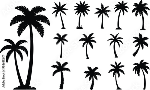 Assortment of Black Silhouette Palm Trees on a White Background tropical nature