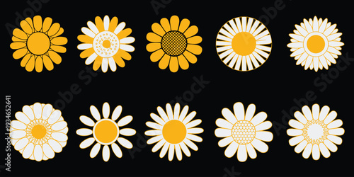 Collection of Stylized Yellow and White Daisy Flowers on Black Background Keywords: daisy, flower, yellow, white, stylized
