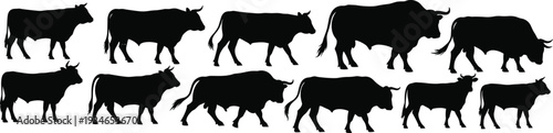 Detailed Collection of Bull and Cow Silhouettes Featuring Various Poses and Breeds of Cattle for Agriculture Livestock and Beef Industry
