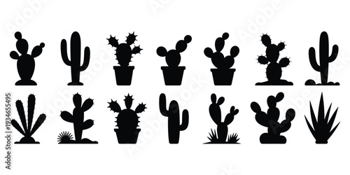 Silhouette Collection of Twelve Different Cacti and Succulents in Various Potted and Grounded Forms cactus