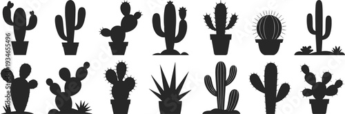 Silhouette Collection of Twelve Various Cacti and Succulents in Potted and Grounded Arrangements cactus