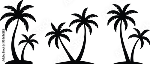 Three black silhouette palm trees with coconuts on a white background tropical
