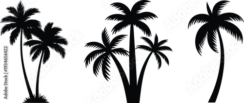 Three Silhouettes of Palm Trees on a White Background tropical nature
