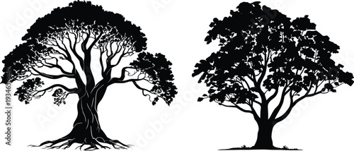 Two black silhouettes of large, mature trees with detailed branches on a white background black and white