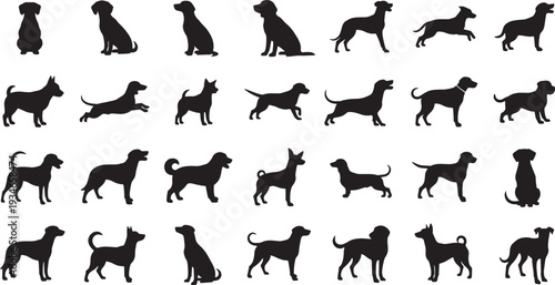 Collection of various dog breeds silhouetted against a plain background showcasing diverse canine profiles