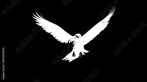 Powerful white eagle silhouette in dynamic flight with spread wings against a stark black background