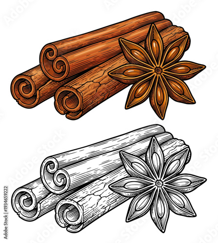 Cinnamon sticks and star anise arranged together, showcasing traditional spices, culinary ingredients, and aromatic elements in a simple composition, viewed from directly above