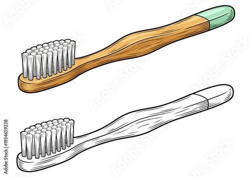 Illustration of two toothbrushes with wooden and plastic handles side by side on a clean background from a straightforward viewpoint